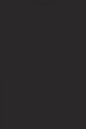 FARROW AND BALL PITCH BLACK NO. 256 PAINT